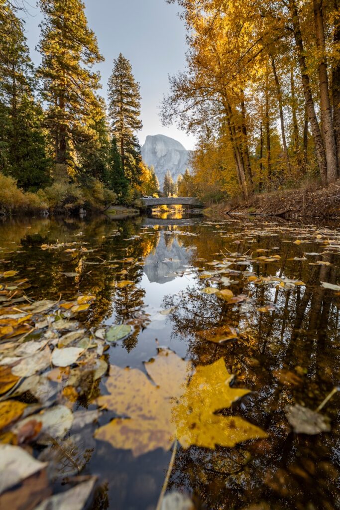 Half dome reflected in merced river during autumn